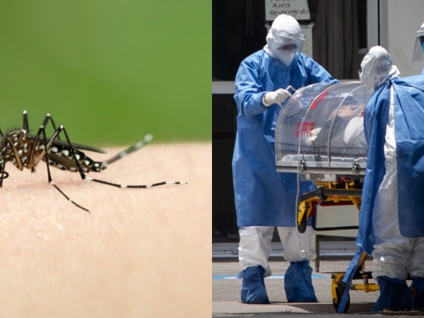 Un repelente para insectos puede matar al coronavirus, según un estudio